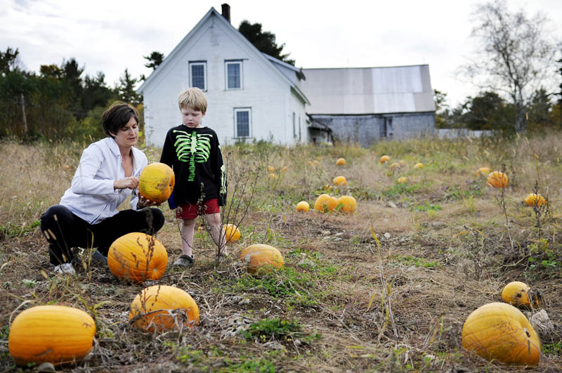 BIG CHOICE: Sam Hayes, 5, helps his mother, Leah, choose a pumpkin for their Mount Vernon home Tuesday at the Pine Bluff Farm in Mount Vernon. The couple picked a pumpkin from the patch and a smaller gourd from the farm stand.