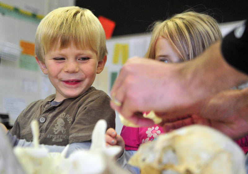 Cody Spinson, left, and Delia Whithee look at skulls on Wednesday afternoon at Gilbert School in Augusta. Leigh Rose, from the L. C. Bates Museum outreach program, has been visiting the school as part of six week program.
