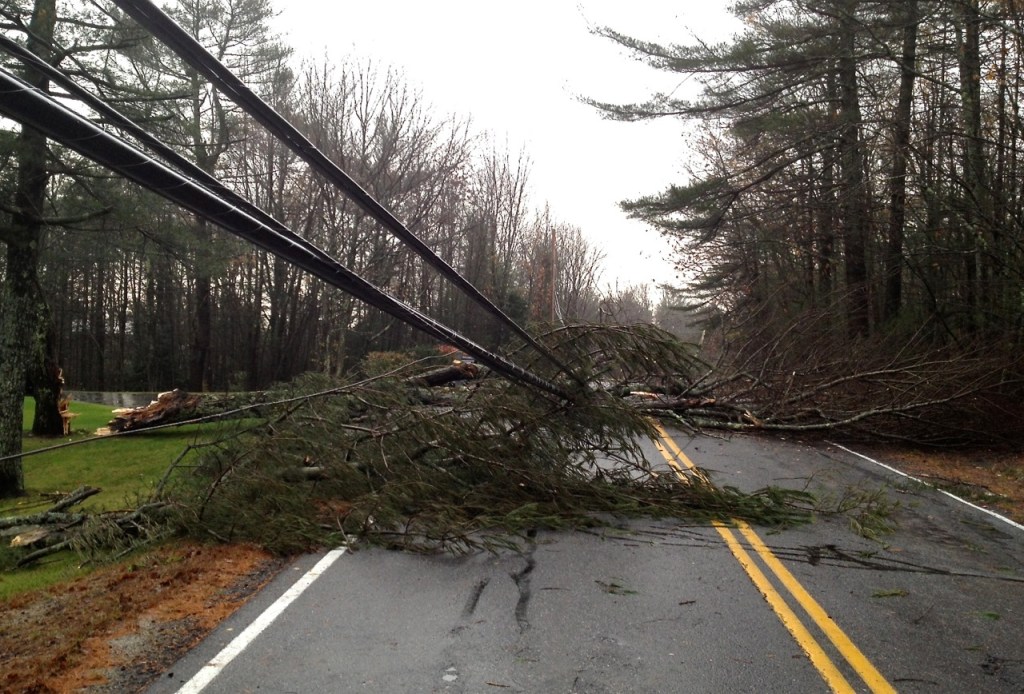 A downed tree and power line on Methodist Road in Westbrook.
