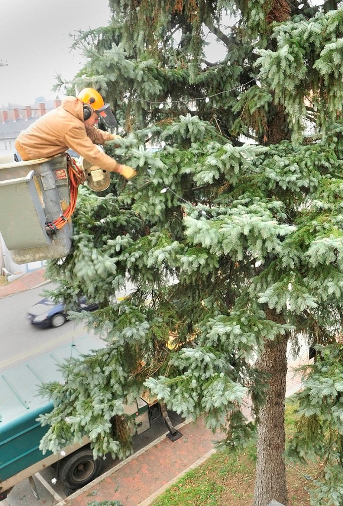 Working from a boom truck, Jon McKenney, of McKenney Tree Service, strings lights on a large tree between the City Hall and RE/MAX Capital Chris Vallee Associates on Winthrop Street in Hallowell.
