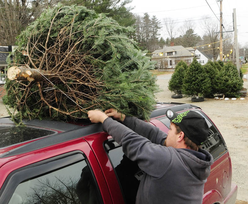Tree seller Paul Peaslee ties a Christmas tree on top of a customer's vehicle on Tuesday afternoon in Farmingdale. Peaslee said he was part of a family business that had been selling trees in the Webber's Ice Cream parking lot for many years.