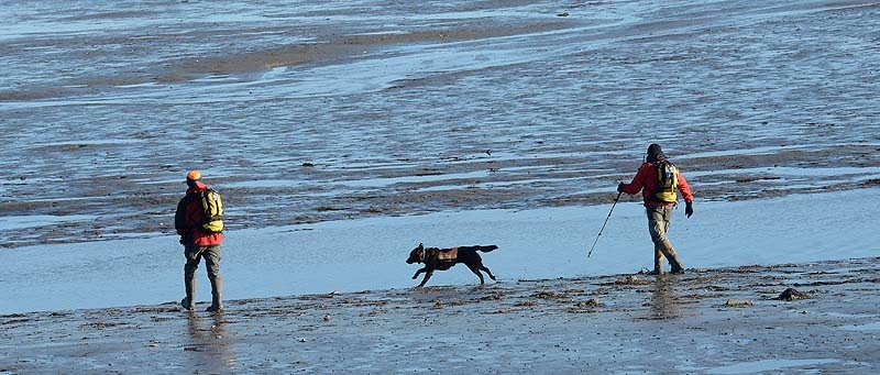 Searchers along with a search dog walk make their way out to Trott Island off Cape Porpoise Monday, December 24, 2012. Zachary Wells and Prescott Wright, have been missing from Kennebunkport since Wednesday.