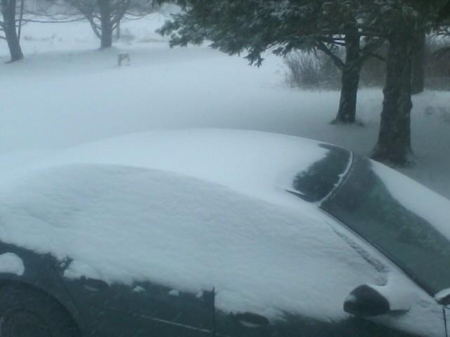The early-morning snow was drifting in Vassalboro on Thursday.