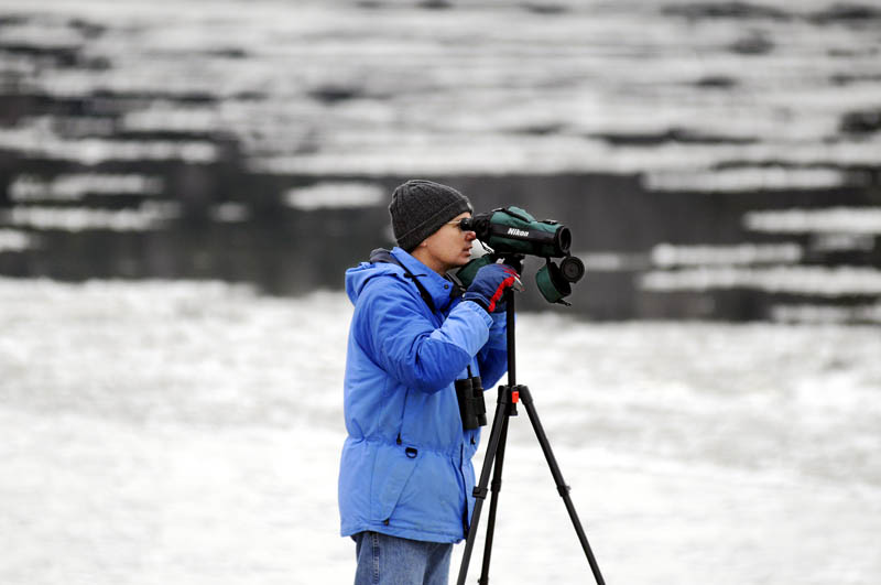 Glenn Hodgkins, of Hallowell, searches for birds with a spotting scope Tuesday, between ice floes on the Kennebec River in Hallowell. The avid birder said he searches for avian species "any time I can get an excuse." He was attempting to locate a drake wood duck that had been spotted on the river earlier.