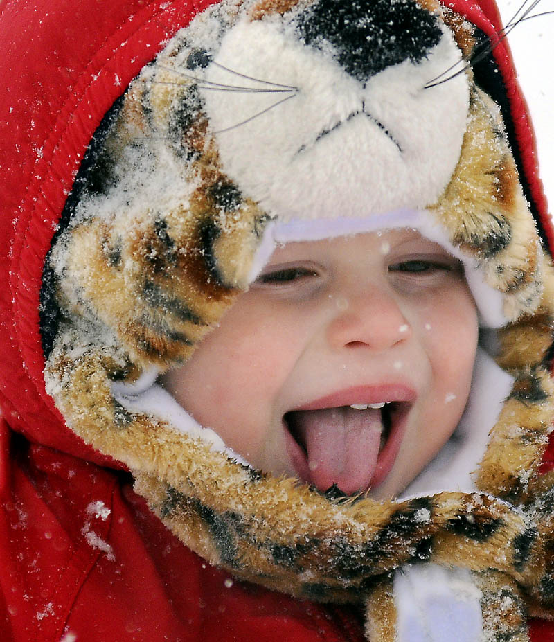 Ozy Pucciarelli, 2, samples snowflakes on Thursday, while being towed in a sled through Augusta by his mother, Izzy Pucciarelli.
