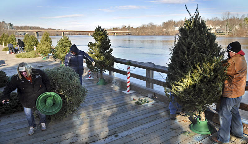 Volunteers arrange fir trees Sunday on the Kennebec River in Gardiner for the Festival of Trees, to raise money for Gardiner Youth Hockey. Each of the 25 trees erected at the waterfront were decorated by local businesses which contributed to the fundraiser and raffle held in the evening.