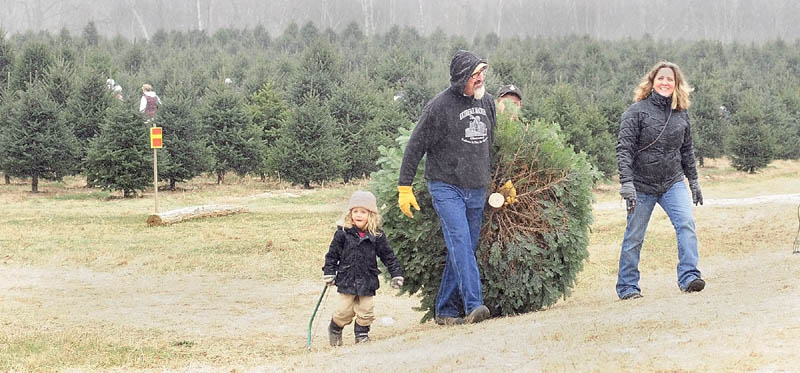 Solomon Cyr, Ken Cyr, Luke Cyr (in background) and Mary Cyr, of Winthrop, carry their Christmas tree out of the field on Saturday afternoon at Frederickson's Tree Farm in Monmouth.