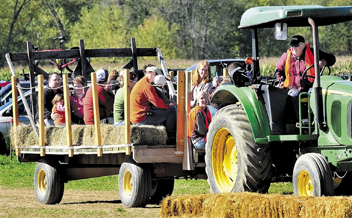 Herbert "Bussie" York waits on his tractor as families fill a haywagon for the trip to the pumpkin patch at his Amazing Maize corn maize off Route 2 in Farmington.
