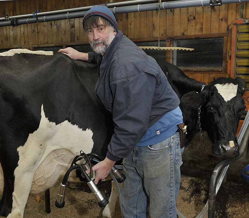 David Knight prepares to start milking at Smiling Hill Farm in Westbrook on Friday. Knight said he is less worried about price fluctuations because the farm processes its own milk.
