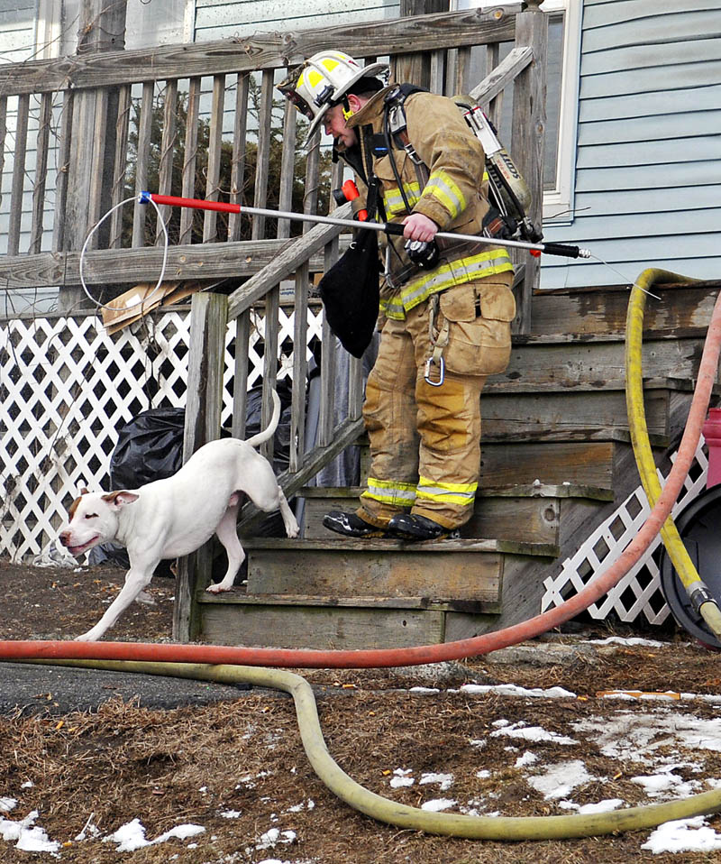 Augusta Fire Department Deputy Chief David Groder escorts a dog to safety, which firefighters rescued from a blaze on Tuesday at 1 Penobscot St. in Augusta.