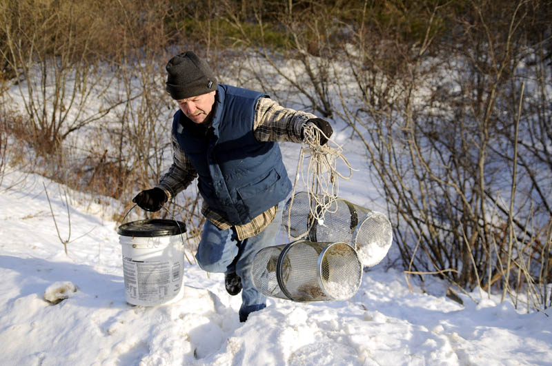 Conrad Gardiner lugs a pair of traps and a bucket from a stream in Hallowell on Tuesday. Gardiner said he was switching the bait traps to another stream to catch shiners for ice fishing bait.