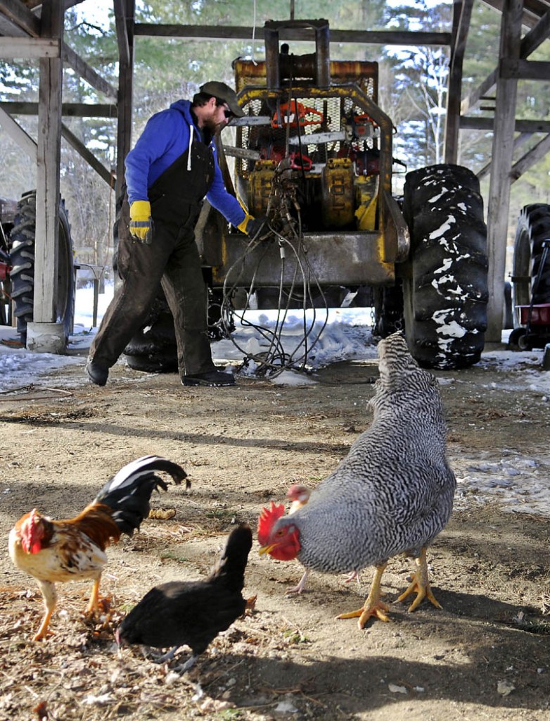 Dan Longfellow checks the cables of a skidder on Tuesday, as a flock of chickens peck at his family's Farmingdale farm. Longfellow was preparing the rig to twitch logs from the family's lot.