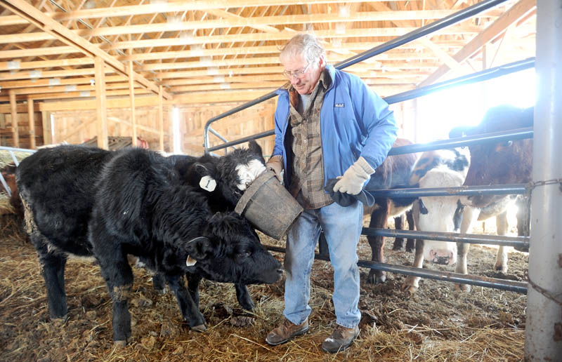 Paul Frederic feeds some cattle at his farm on Chicken Street in Starks on Friday. Frederic, who is also a selectman in Starks, is one of several Starks farmers organizing the first agriculture commission in the state.