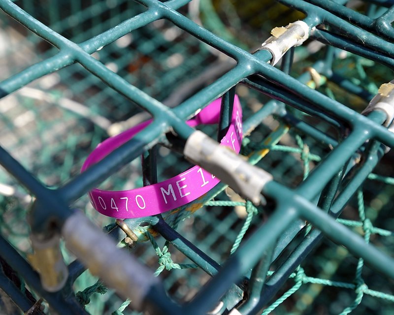 20120621_LobsterTag
