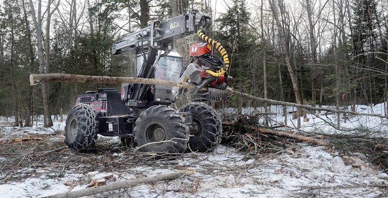 Scott Kinney cuts and limbs trees with a harvester in a select-cut operation on Trafton Road in Sidney Thursday. Kinney Brothers Logging specializes in sustainable land use logging techniques.