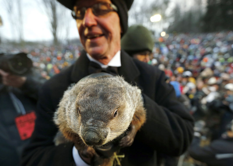 Groundhog Club co-handler Ron Ploucha holds weather-predicting groundhog Punxsutawney Phil after the club said Phil did not see his shadow and there will be an early spring.
