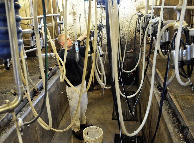 Barrett Russell, 22, prepares the milking station at his family's dairy farm on Garland Road in Winslow Thursday. The farm has about 50 dairy cows.