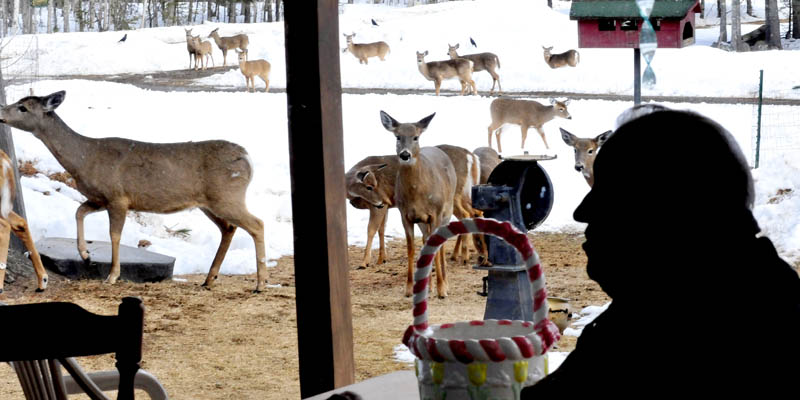 Basil Powers is seen inside the kitchen at his Coplin Plantation farm, as deer look for food in his yard.
