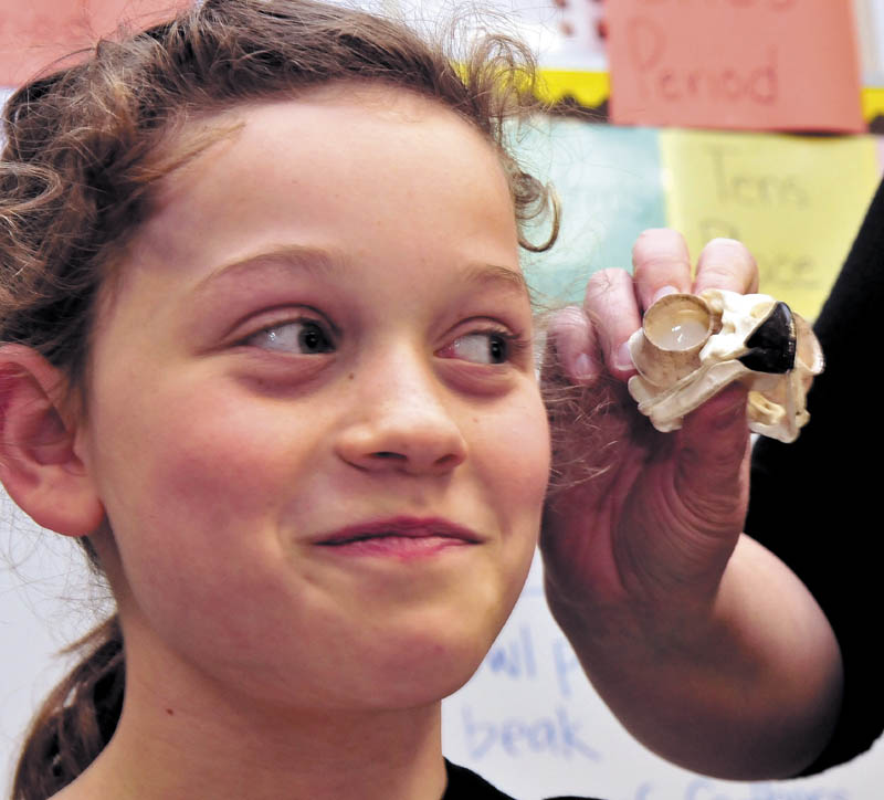 Bloomfield Academy student Porcha Rowlett casts a weary eye toward the owl skull being shown by L.C. Bates Museum educator Serena Sanborn during a presentation on birds at the Skowhegan school on Thursday.