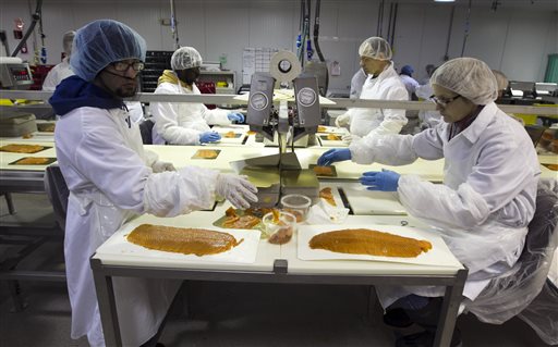 Workers weigh and packaged smoked salmon at the Ducktrap River company, in Belfast. Ducktrap River is owned by Marine Harvest, a Norwegian company that is the world's largest farmed-salmon producer.