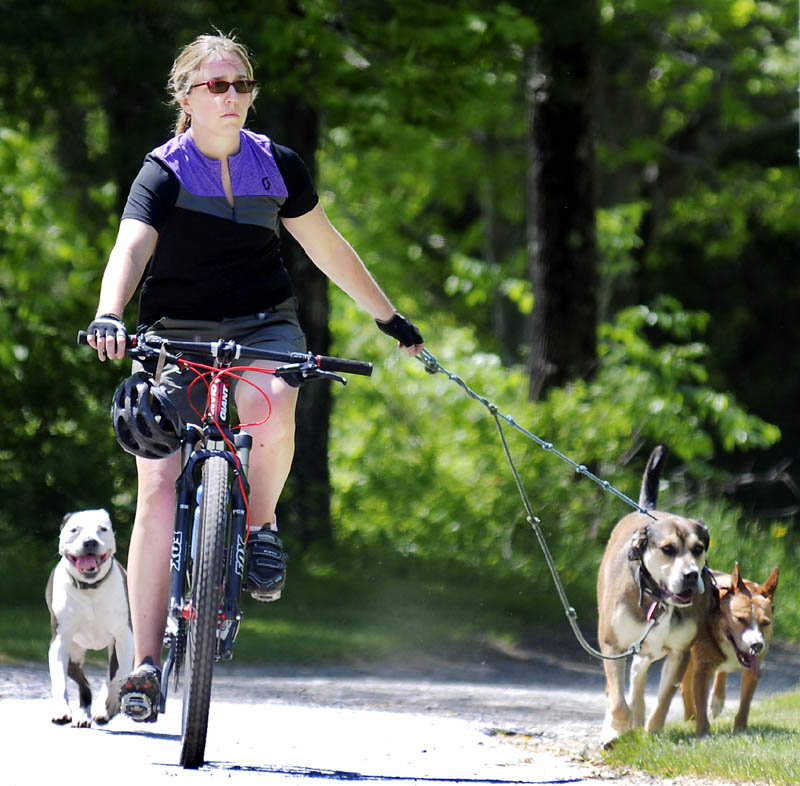 Beth Sours, of West Gardiner, leads her trio of dogs back to her car in Hallowell on Thursday during a ride and run through the woods of Manchester and Hallowell. The veterinarian said she rode about ten miles with her pooch escorts.