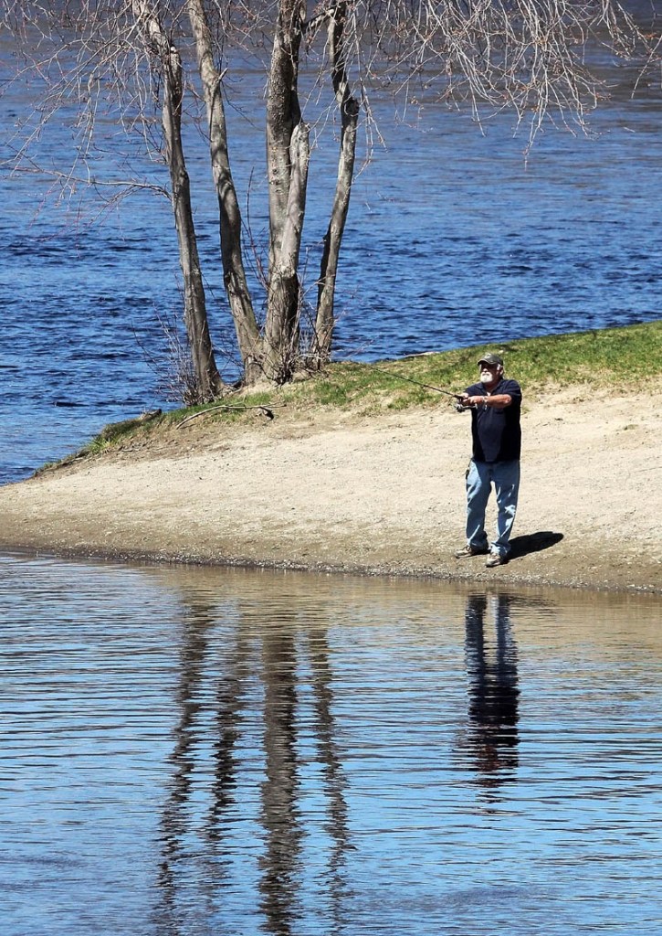 George Hughes, of Oakland, said he noticed a lot of alewives recently and expected striped bass soon while fishing at the confluence of the Sebasticook and Kennebec Rivers in Winslow on Friday. "The stripers usually arrive two to two and half weeks after you start seeing alewives," said Hughes.