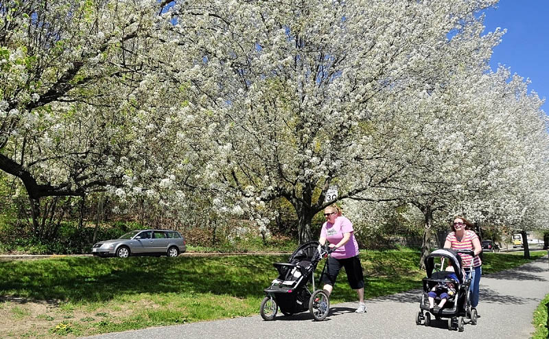 Angela McKenna, left, and Tabitha Ryan, both of Augusta, push strollers underneath blossoming trees on Tuesday on the Kennebec River Rail Trail in Hallowell. Finn Ryan and Eva McKenna were both riding in Ryan's stroller.