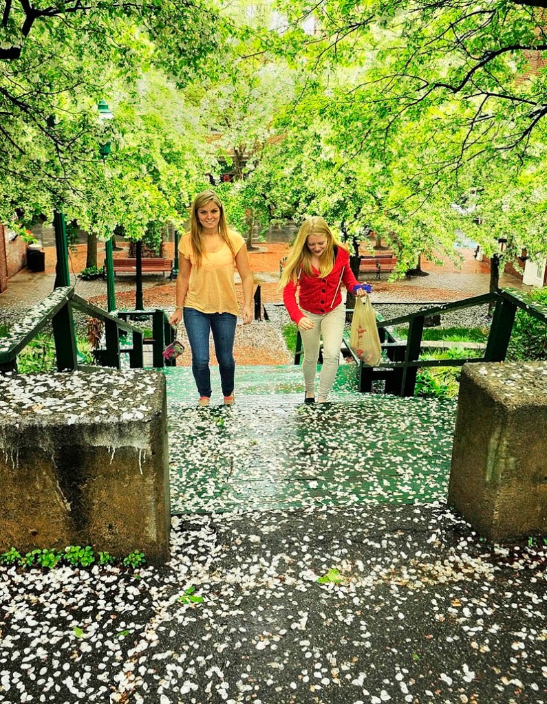 Courtney Moulton, left, and Helen Dow walk over petals fallen from blooming trees on a rainy Tuesday through Johnson Hall Mini Park in downtown Gardiner. Forecasts call for a chance of rain through Saturday.
