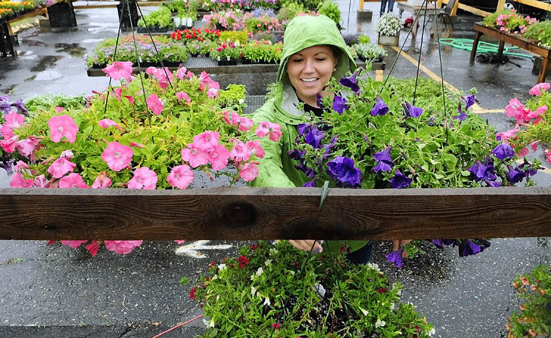 Madison McCutcheon sets up a display of hanging baskets on a rainy Tuesday at the Alden Longfellow's Greenhouses' seasonals sales display area in the DNK Select Used Cars lot on Main Street in Farmingdale.