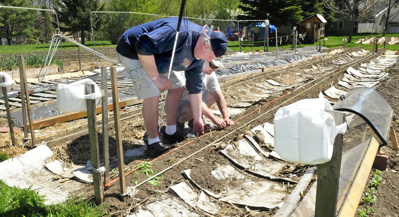 Deon Lyons, left, who is blind, is assisted by visually impaired gardener David Perry to use rope sight lines to help locate vegetable rows and allow successful gardening in a plot in Fairfield.