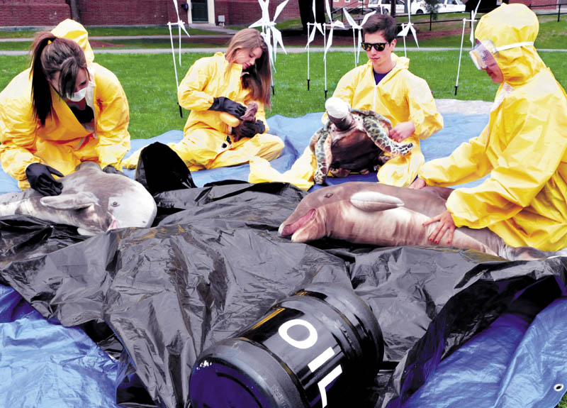 Student members of Colby Alliance of Renewable Energy group took part in a simulated oil spill that contaminated birds and animals on campus on Thursday. From left, Ruthie Hawley, Carla Nyquist, Jacob Wall and Janice Liang.