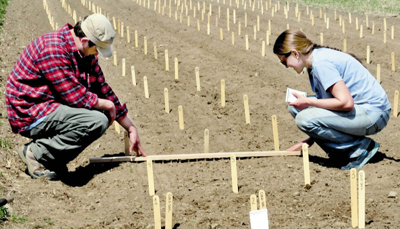 Steve Rodrigue and Lindsay Spigel plant an early-season variety of corn at the research farm at Johnny's Selected Seeds in Albion in April 29.