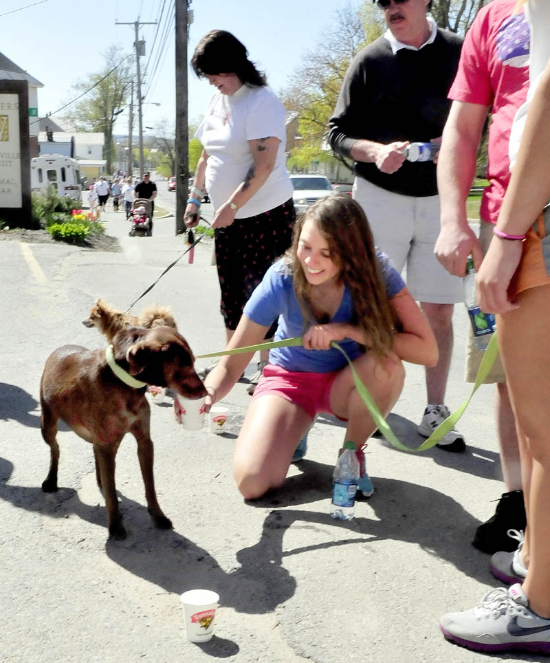Kayla Turner holds a cup filled with water for her thirsty dog, Henry, during a water stop on Main Street in Waterville for the Humane Society Waterville Area's Pet-a-Thon fundraiser walk on Sunday. Dogs and their owners, who had collected pledges for the event, walked a 3-mile course.