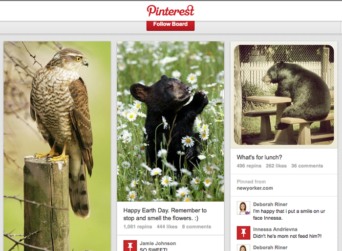 This screen image shows L.L. Bean's "Woodland Creatures" board on Pinterest.