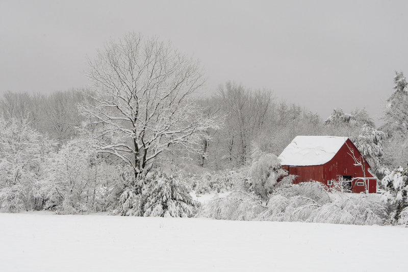 The color of this barn in Hollis stands in contrast to the blanket of snow that greeted parts of Maine in advance of Thanksgiving Day in 2011.