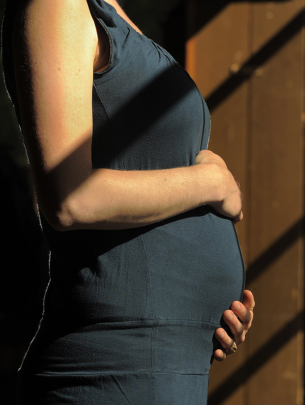 Scientists and policy experts say unborn children are endangered by at least two types of chemicals for which regulation in Maine has stalled.