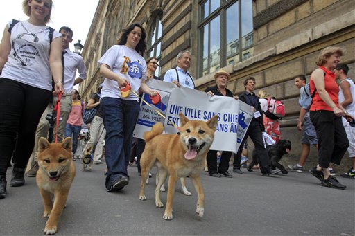 Dog owners march toward the Tuileries Gardens, in Paris, on Saturday. At least 100 pooches with owners in tow, holding leashes, marched near the Louvre at a demonstration to demand more park space and access to public transport for the four-legged friends. The banner reads, "A City without Dogs is a City Without Soul."