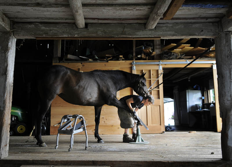 Farrier Ann Melville, of Durham, preps a thoroughbred for a new shoe Tuesday in the barn at Pleasant View Farm in Sidney. Melville, the proprietor of On Balance Farrier Service, was replacing the shoes on two steeds in the 19th Century barn that belongs to Jeff Fay, D.V.M.