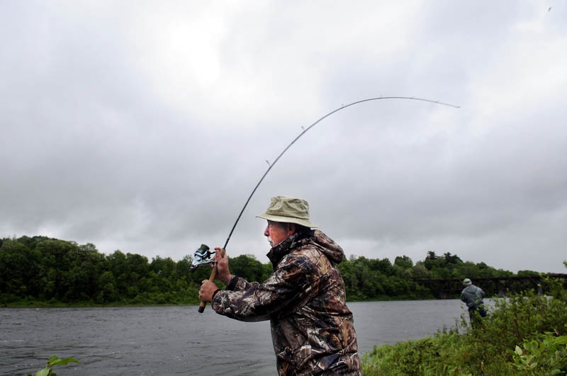 Dan Levesque, left, of Augusta and Ron Young, of Manchester, cast for striped bass Wednesday on the banks of the Kennebec River in Augusta. Fishing in pouring rain comes naturally to both men, Levesque claims, who cast a line in the river "seven and half days a week."