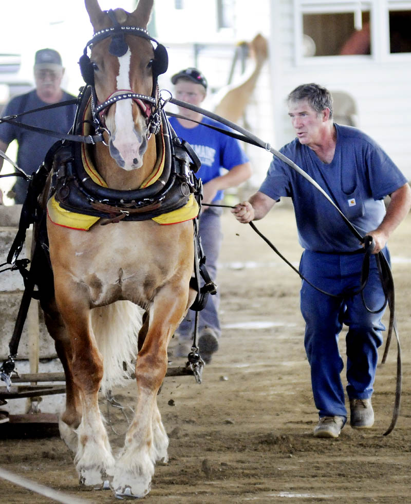 Gordon Libby, right, of Jefferson, guides his team of Belgians Sunday at the annual spring pull of the Maine Draft Horse and Ox Association, hosted at the Windsor Fairgrounds. Teams from across Maine scooted and pulled against each other during the weekend event.
