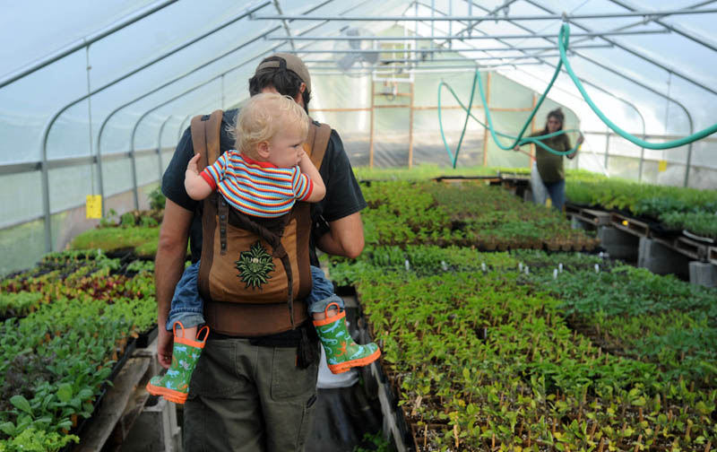 Andrew Mefferd walks through the nursery with his son, Jasper, 22 months, as his wife, Ann, waters the plants in Cornville on Friday morning. The Mefferds started their certified organic farm, One Drop Farm, in 2008.