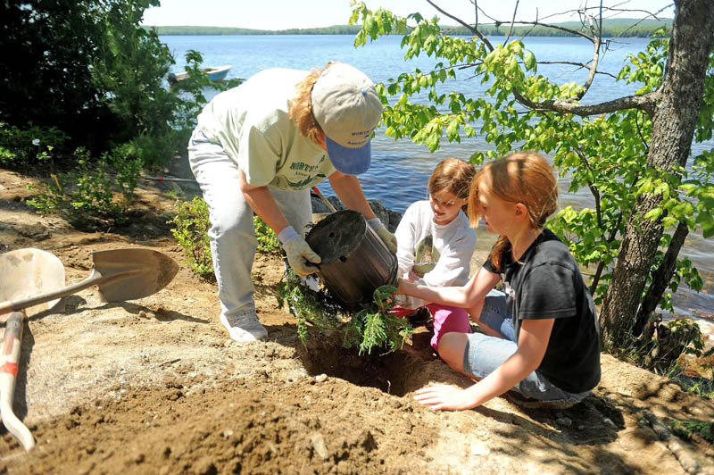 Linda Rice, left, helps Cornville charter school students Thalia Barden, 11, center, and Kaitlyn Vanvliet, 11, right, plant a juniper bush along the banks of North pond on Lakeview Drive in Smithfield as part of an erosion-prevention project on Wednesday.