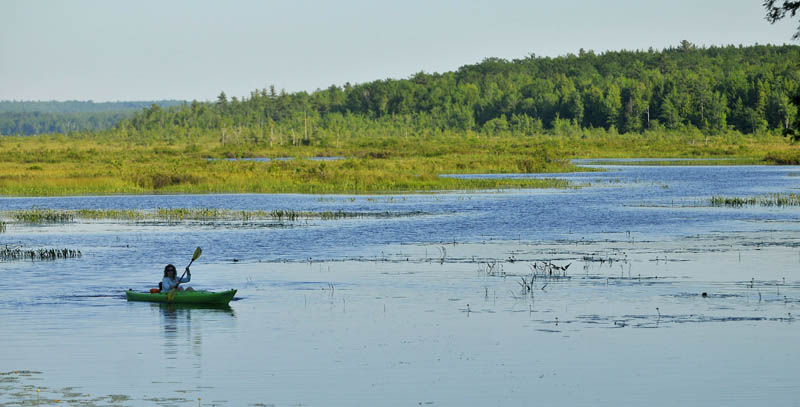 Christine Keller paddles along the Serpentine waterway, a three-mile waterway that cuts across a peat bog as it connects East Pond and North Pond on Thursday.