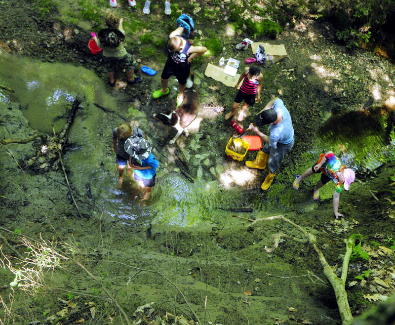 Participants in the Kennebec Land Trust's Children's Nature Program dig in a clay bank along a stream in the Small-Burnham Conservation Area on Tuesday in Litchfield.