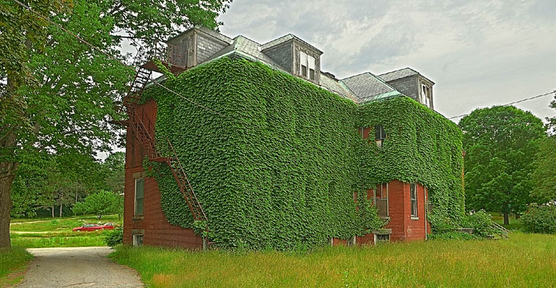 Ivy grows on an old building at 7 Beech St., in the old Stevens School complex, on Friday in Hallowell.