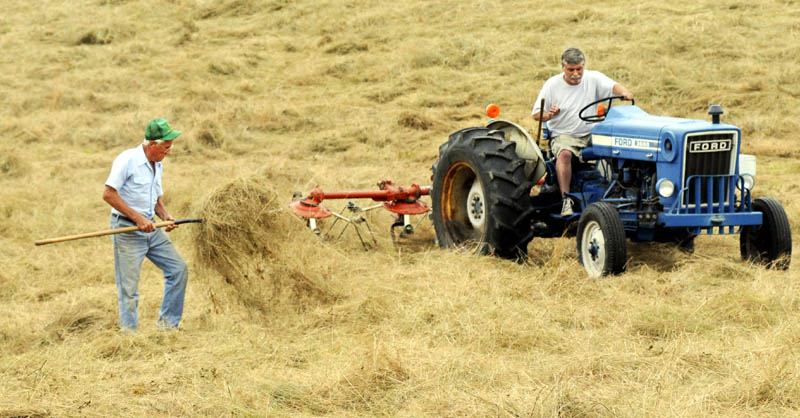 Maynard Whitten checks the dryness of hay with a pitchfork that his son, Dwight, teds with a tractor Monday, at their Manchester farm. The Whittens have only cut 10 of the 60 acres of fields at the farm for hay this season. "Awful hard with rain constantly," Whitten said.