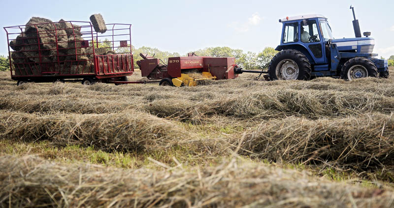 Andy Baker collects square bales of hay July 15 from a field in Monmouth during his first cut of the season. Baker said this time last year, he had put up 6,800 bales but this year, due to rain, he has only picked about 1,300 bales. "This is the worst year ever," Baker remarked.