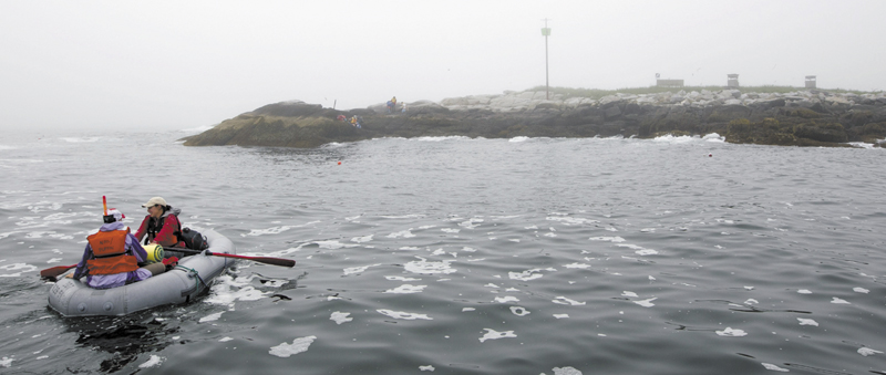 Field biologists row to shore from a moored boat at Eastern Egg Rock, a small island five miles off the Maine coast. Bird blinds used for monitoring puffins stand above the water line at right.