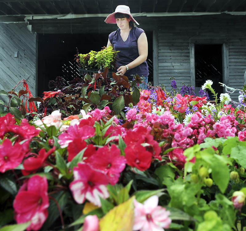 Susan Morin arranges flowers Sunday outside the greenhouses at her family's Readfield farm. Elvin's Farm is selling plants seven days a week, according to Morin's sister, Wendy Elvin, with produce expected to be available in a few weeks.