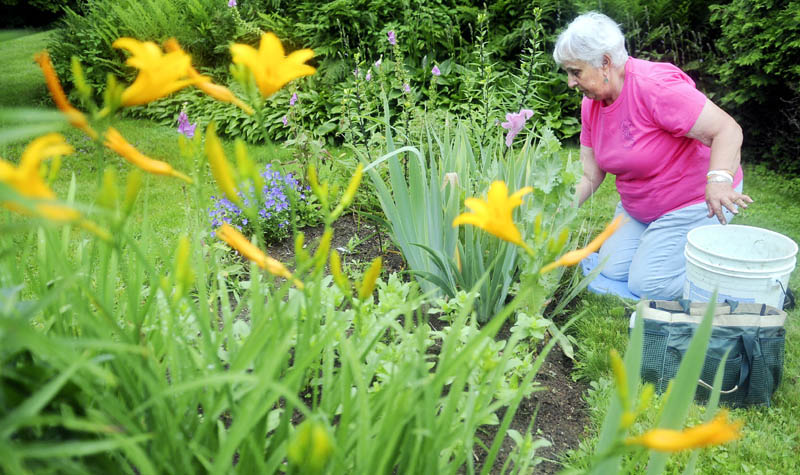 Molly Wicwire removes weeds Thursday from a flower garden at the Vaughan Homestead in Hallowell. Wicwire and other members of the Kennebec Valley Garden Club were sprucing up plots around the community, ahead of the Gardens of the Hallowell Area tour to be held Saturday from 9 a.m. and 3 p.m. The club has prepared eight gardens and some pocket gardens in the city. Tickets may be purchased through Saturday at D.R. Struck, Alden Longfellows, Longfellows Greenhouse and Berry & Berry Floral.